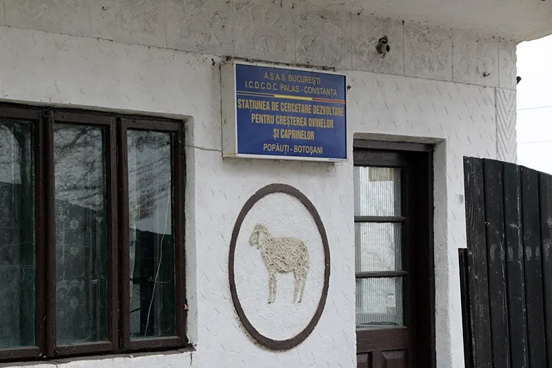 Exemplu că se poate. O instituție din Botoșani și-a triplat veniturile proprii