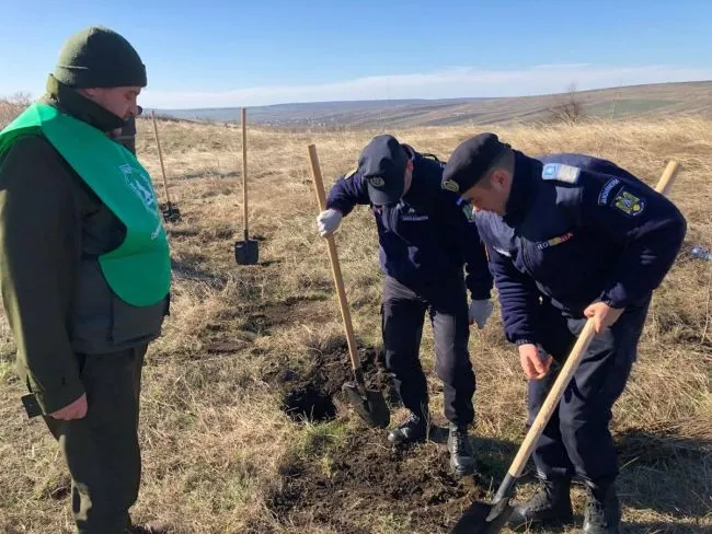 Acțiune de plantare a copacilor desfășurată cu ajutorul jandarmilor