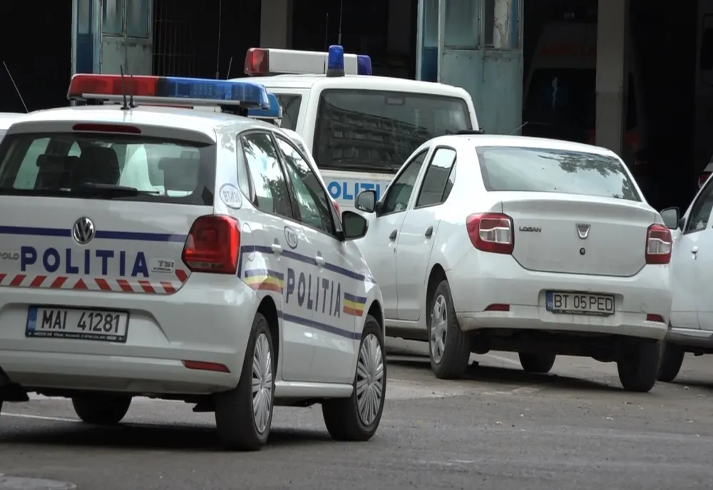 Sucevean amendat și lăsat fără materialul lemnos pe care îl transporta