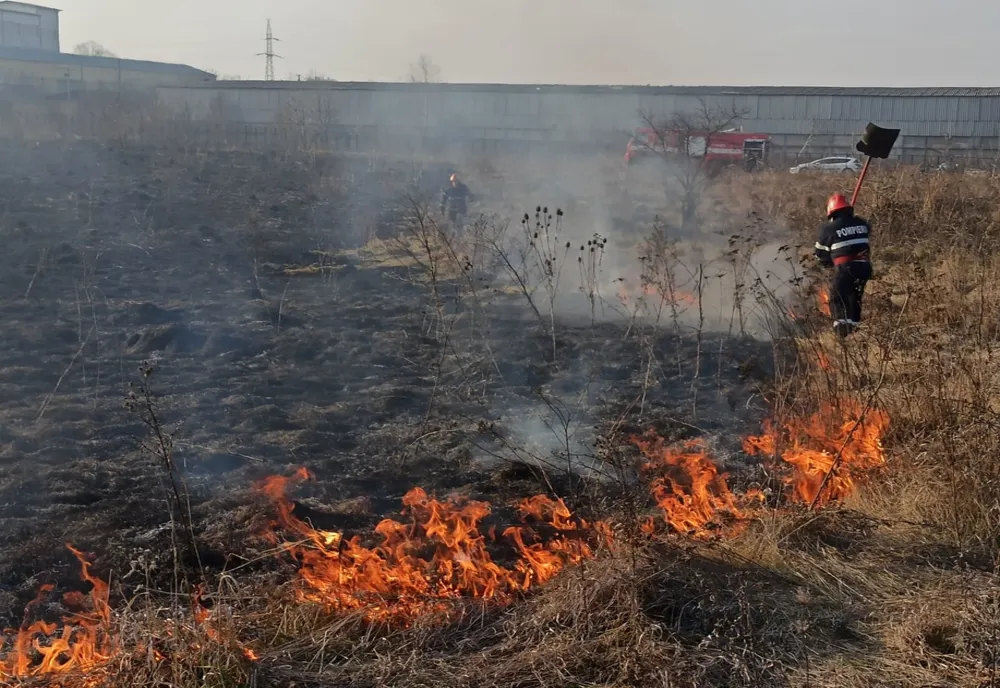 Incendiu pe strada PECO din municipiul Botoșani. Focul a ajuns în apropierea caselor