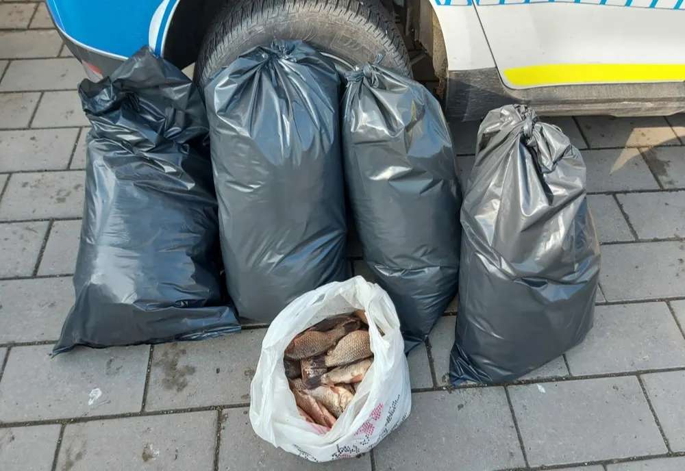 Percheziții într-o comună din Botoșani! Ce au găsit polițiștii
