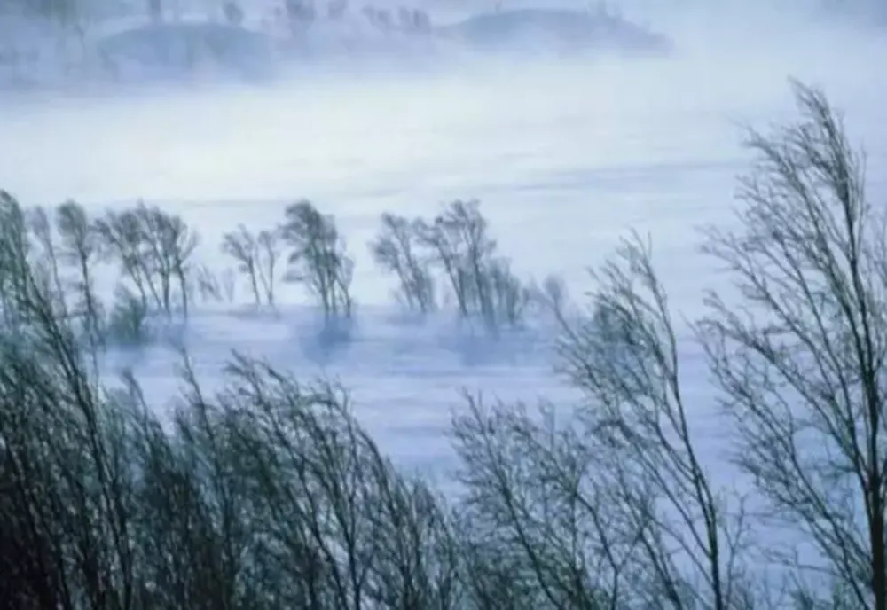 Vremea 15 decembrie - Intensificări puternice de vânt cu viteze de peste 100km/h