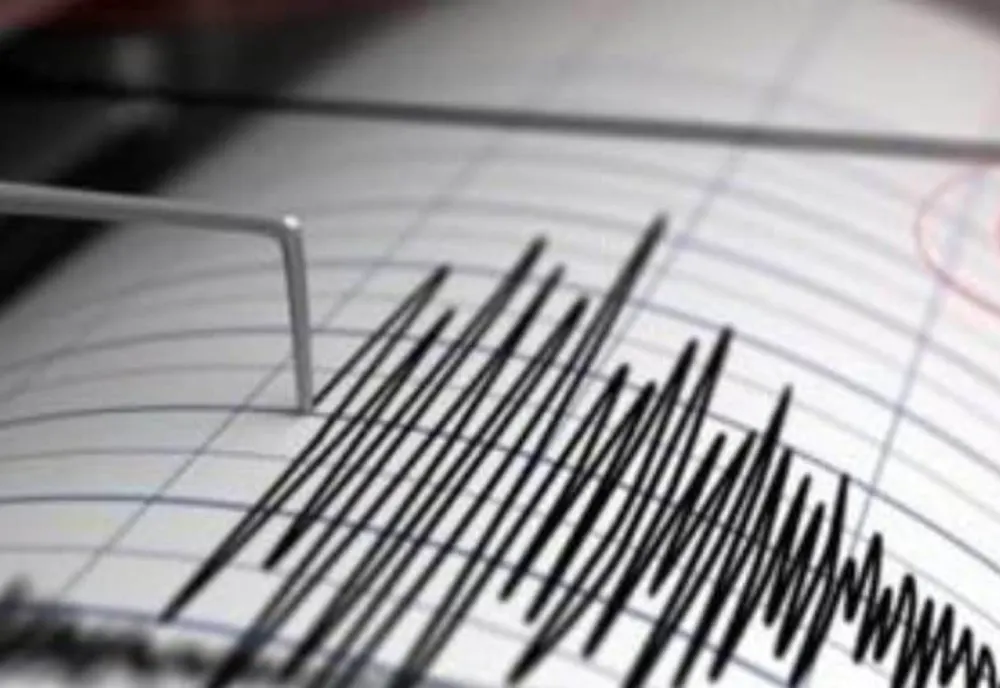 Cutremur mare, în România, marți dimineață. Activitate seismică intensă - anunțul INFP