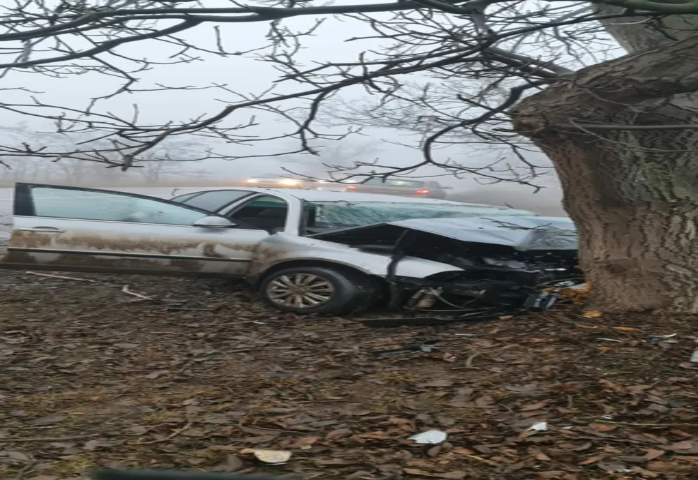 Un tânăr a ajuns la spital după ce mașina pe care o conducea s-a izbit de un copac 
