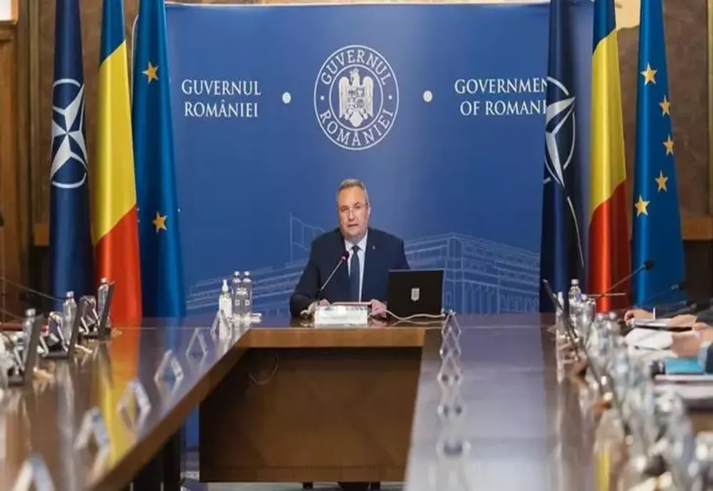 Ședință de Guvern | Schemă de ajutor pentru susținerea activității crescătorilor din sectorul bovin, în contextul războiului