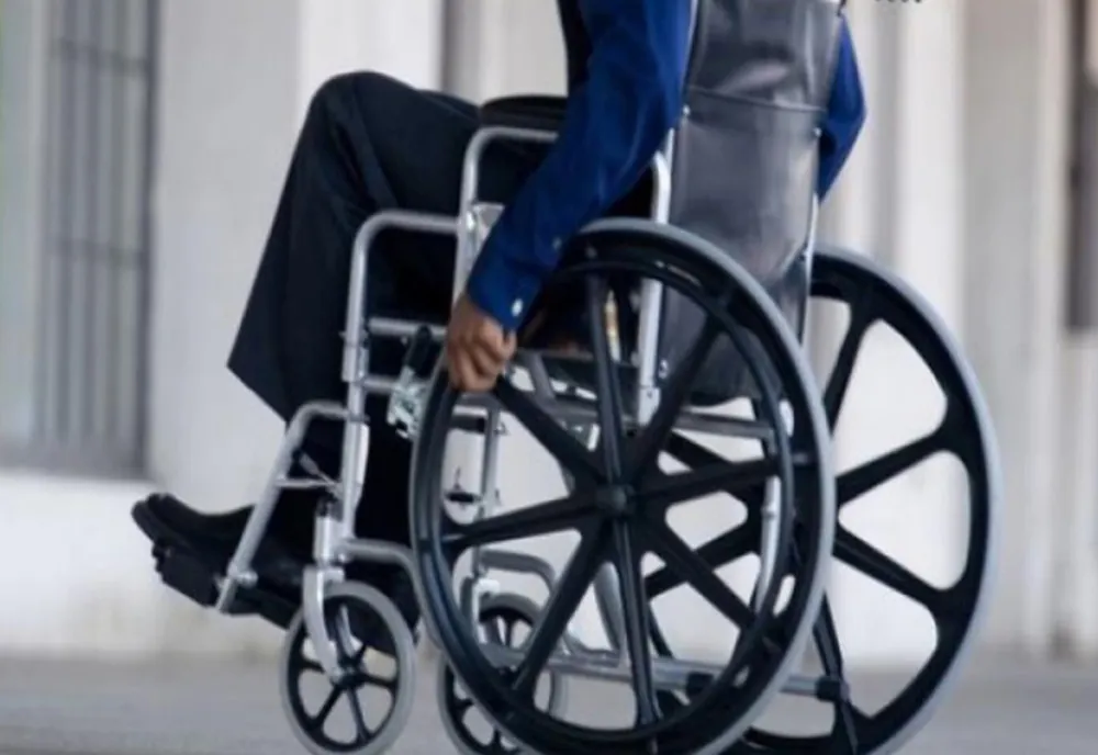 „Majorăm îndemnizațiile lunare pentru copiii și adulții cu handicap grav”