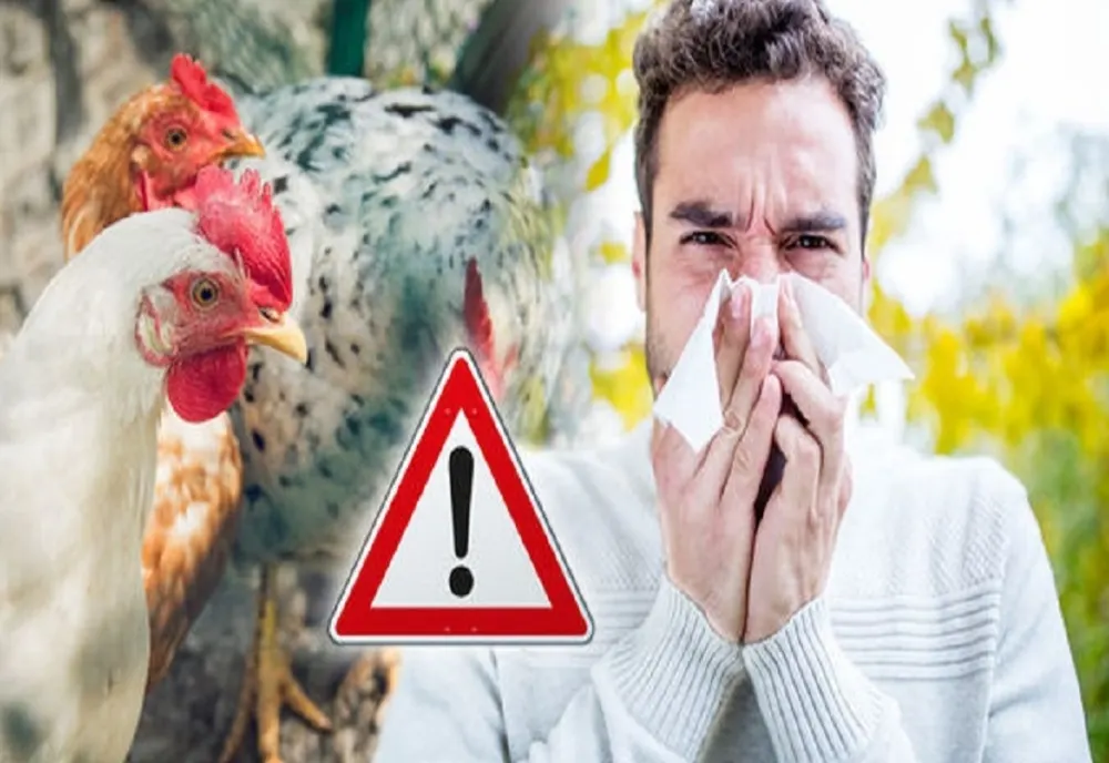 SUA: PRIMUL DECES CAUZAT DE GRIPA AVIARĂ