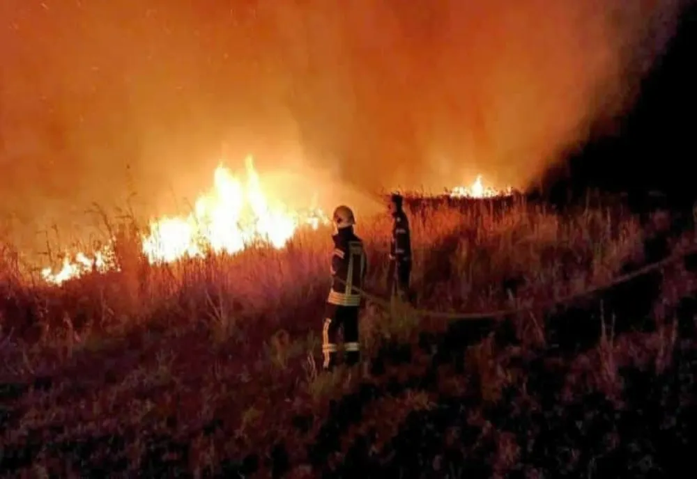 POMPIERII LUPTĂ CU TREI INCENDII DE VEGETAŢIE ÎN VESTUL TURCIEI