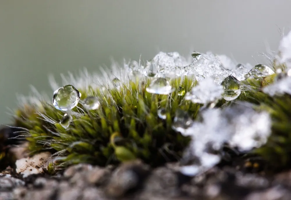 ULTIMA SĂPTĂMÂNĂ CU TEMPERATURI MAI SCĂZUTE DECÂT NORMALELE PERIOADEI