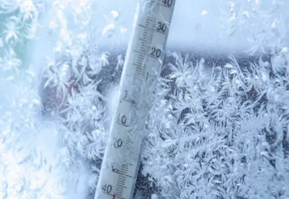 RECOMANDĂRI ALE ANSVSA PENTRU PROTEJAREA ANIMALELOR ÎN PERIOADA CU TEMPERATURI FOARTE SCĂZUTE 