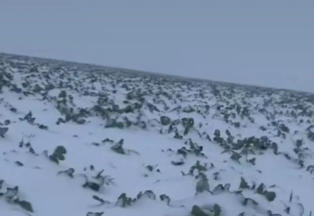 UN NOU VORTEX POLAR SE FORMEAZĂ DEASUPRA POLELUI NORD. METEOROLOGII AVERTIZEAZĂ: URMEAZĂ O IARNĂ ASPRĂ