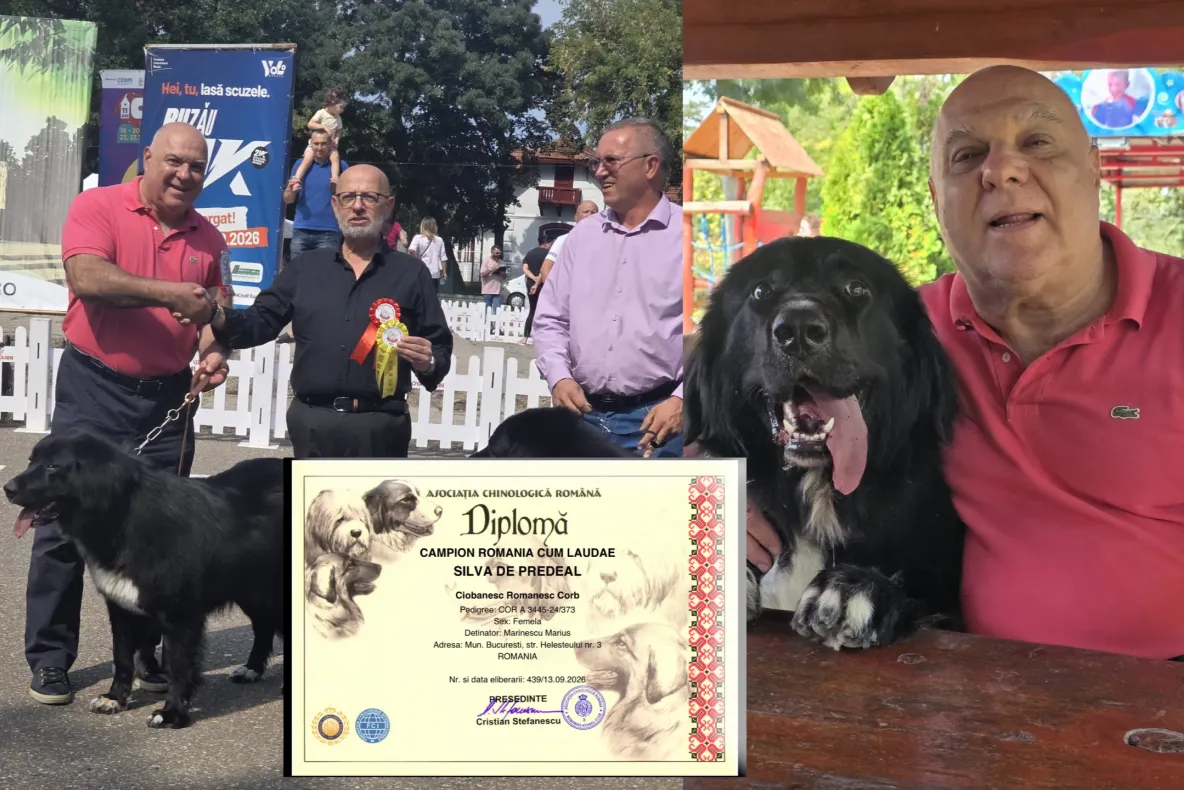 Performanță spectaculoasă pentru cățelușa lui Marius Marinescu. Luluș a cucerit cel mai important titlu național