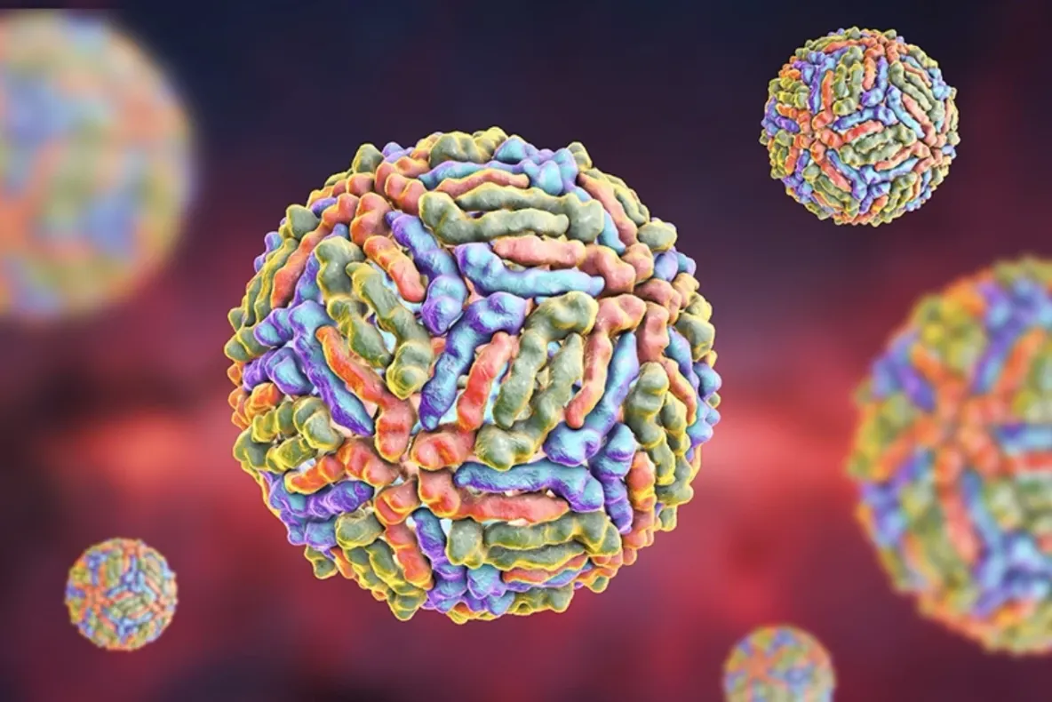 INSP: Un singur caz de infecție cu virusul West Nile, confirmat în județul Botoșani în 2026