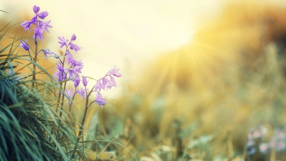 Vreme schimbătoare până de Paște: cald de Florii, apoi temperaturile scad: prognoza ANM