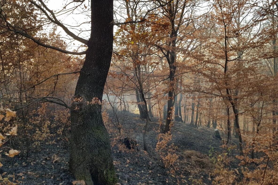 Piromanul de la Corlăteni a fost reținut. Paguba creată este de 250.000 lei