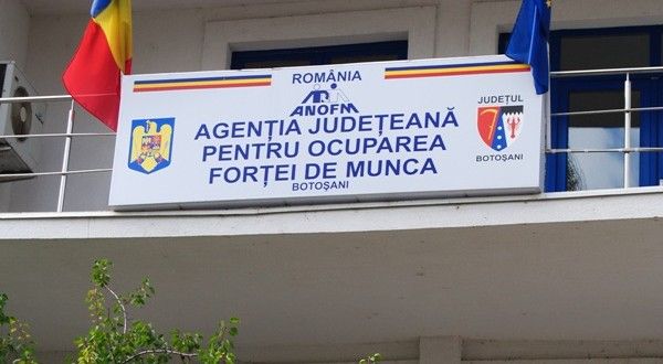 Mii de botoșăneni și-au găsit de muncă prin intermediul AJOFM