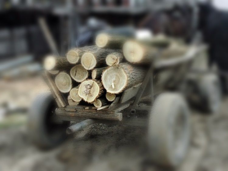 Amendat cu 500 lei pentru un prejudiciu de 275 lei