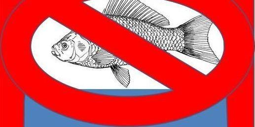 Ministerele de resort au stabilit perioada de prohibiție din acest an