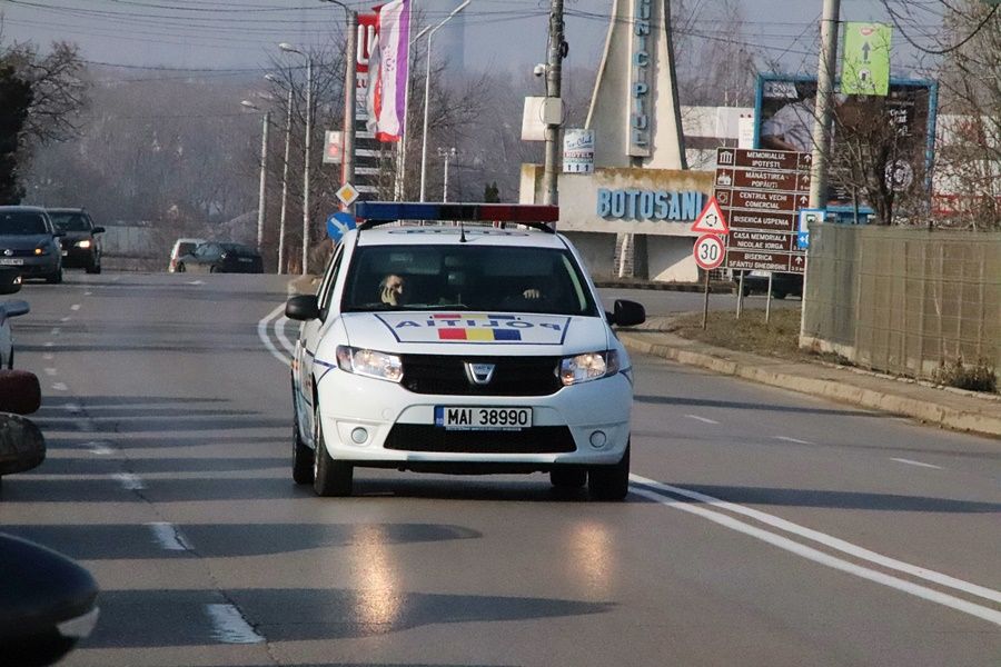Șofer cu tupeu, oprit de polițiști