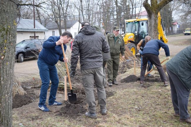 Acțiune de plantare a copacilor în comuna Manoleasa