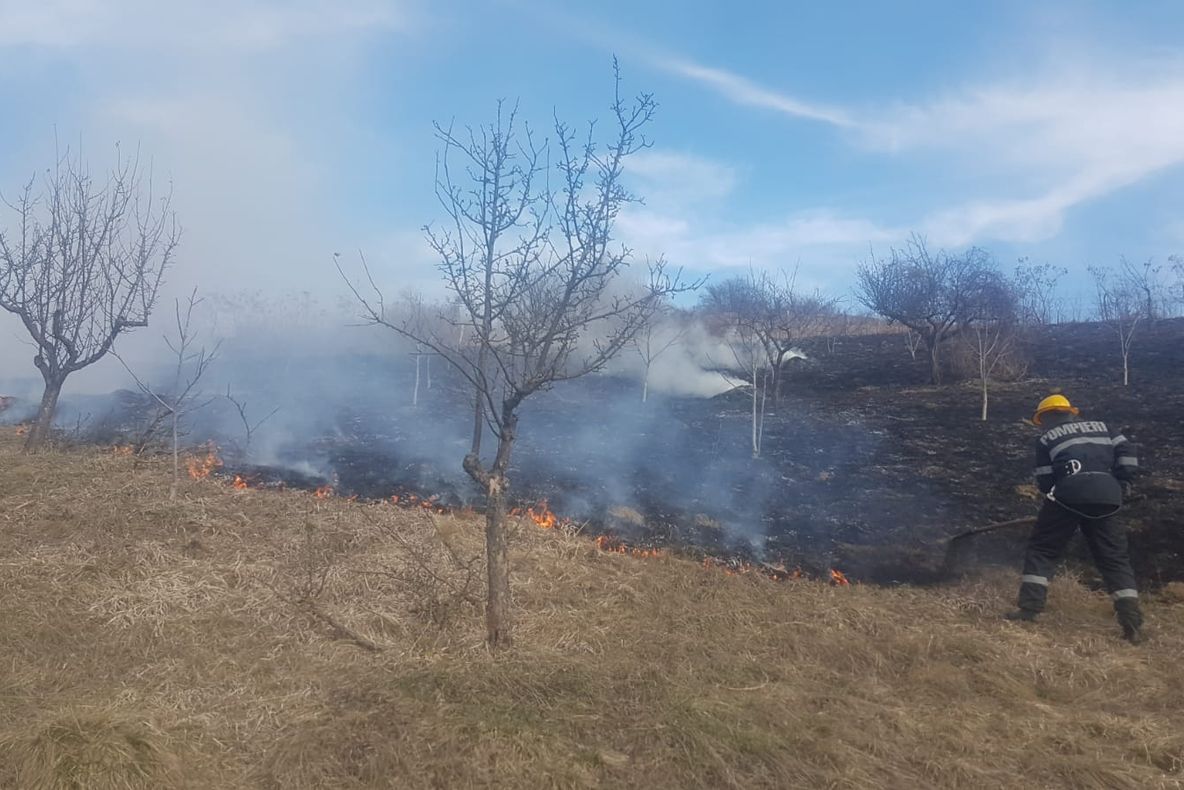 Incendii la Hudești și Vlăsinești FOTO