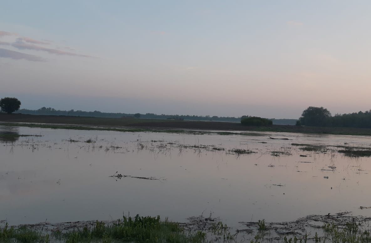 Pericolul de inundații a trecut. Nivelul Prutului a scăzut