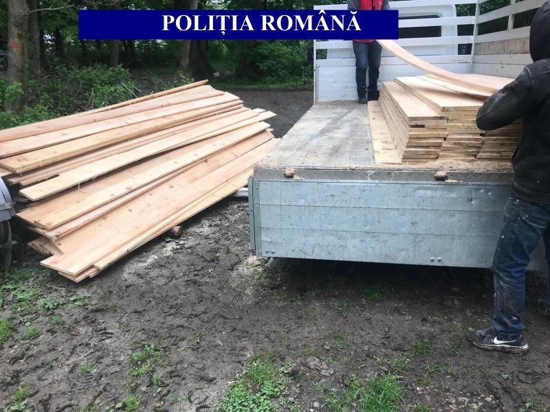 Sucevean cercetat pentru un transport ilegal de cherestea