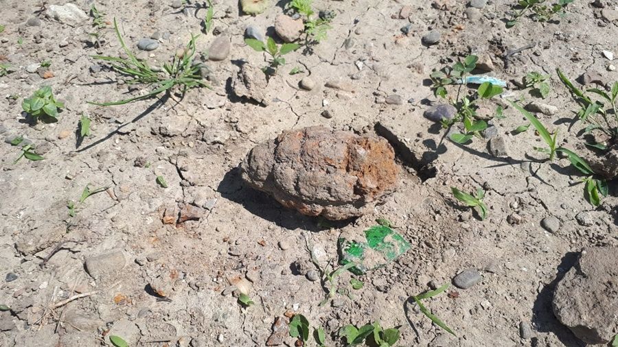 Grenadă găsită într-o grădină din Dorohoi