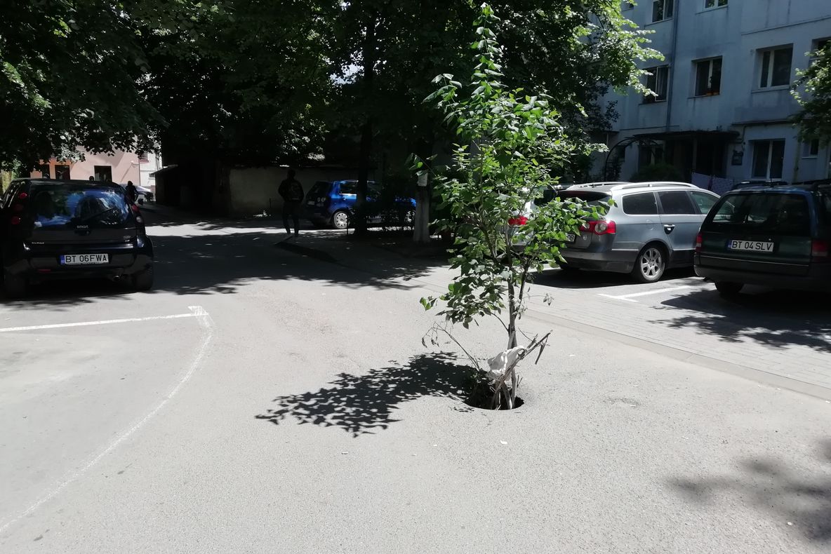 Primăria Botoșani rămâne fără contract de întreținere a străzilor