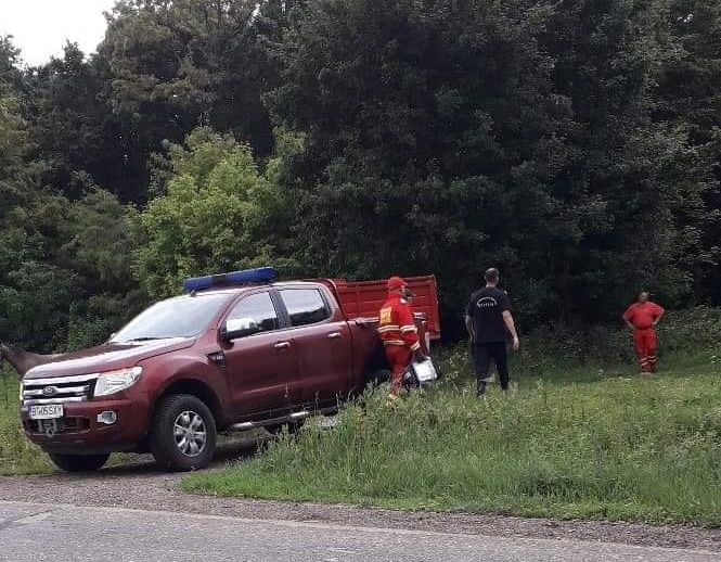 Mobilizare de forțe pentru găsirea unei femei care s-a rătăcit în pădure