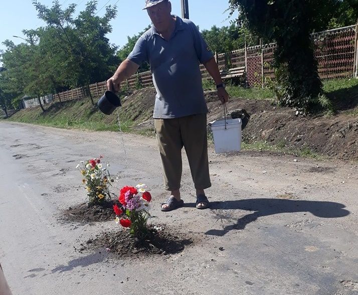 Protest inedit. Flori plantate în gropile de pe un drum județean din Botoșani
