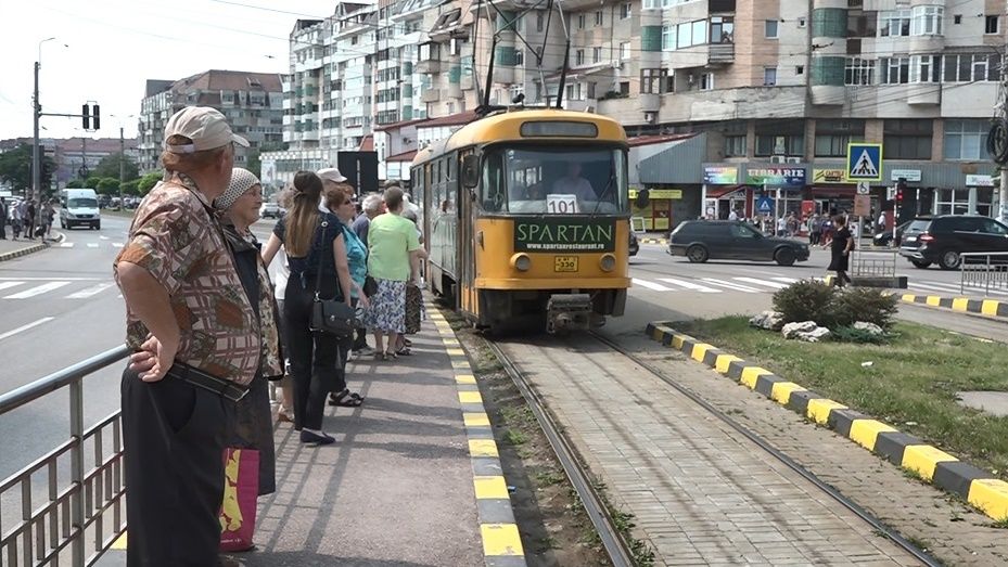Vatmani transformați în șoferi de autobuz