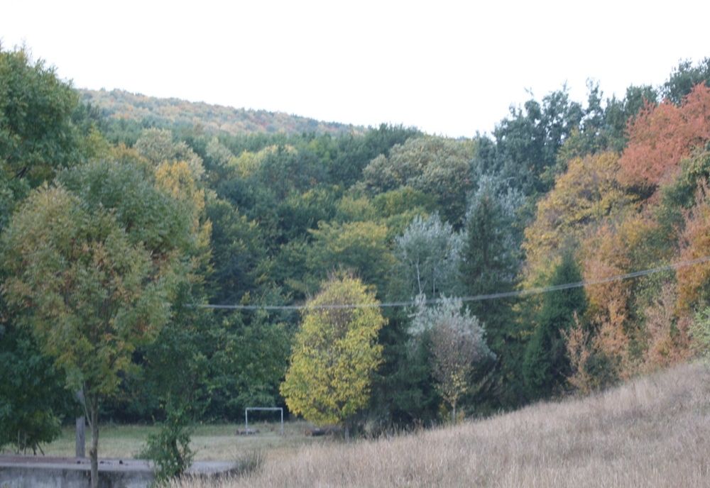 Ministerul Mediului pregătește un proiect de închiriere a pădurilor, lacurilor și plajelor