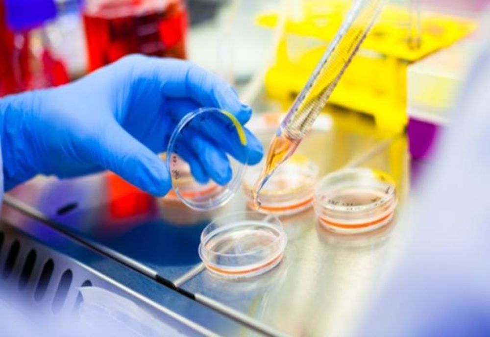 Botoșani. 734 de persoane infectate și 489 vindecate