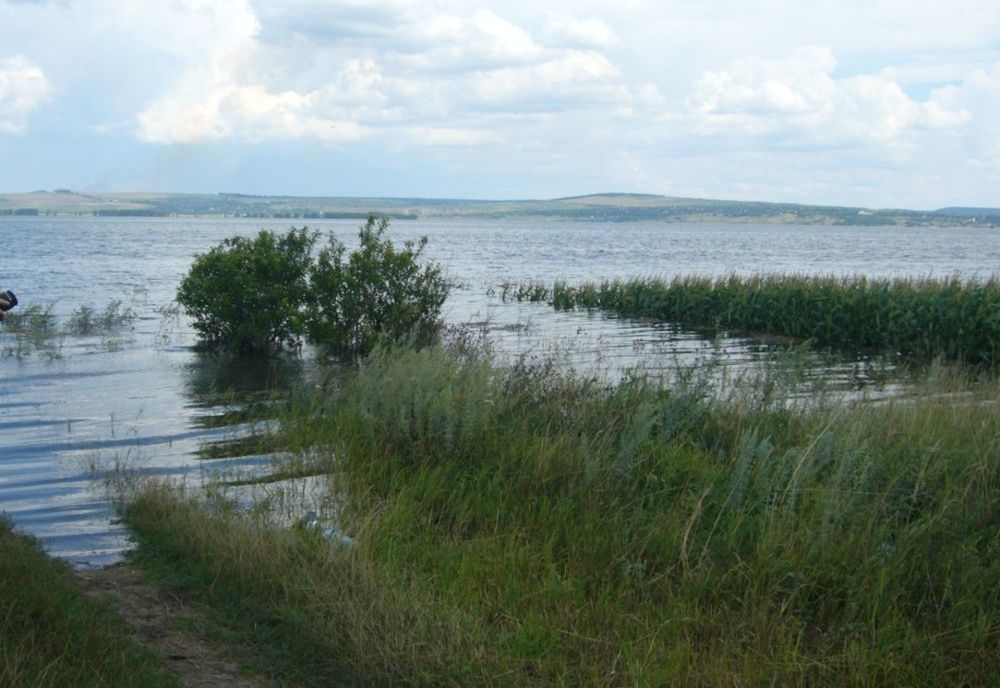 S-a depășit cota de inundație pe Prut. Peste o mie de animale au fost evacuate VIDEO