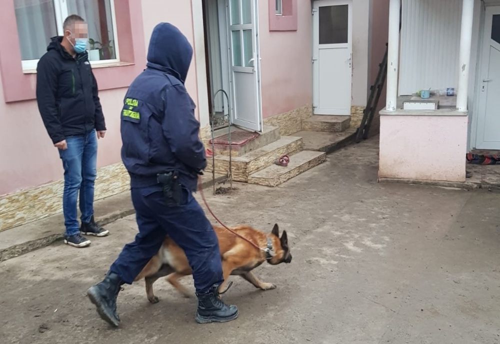28 percheziţii domiciliare pe raza judeţului Botoşani