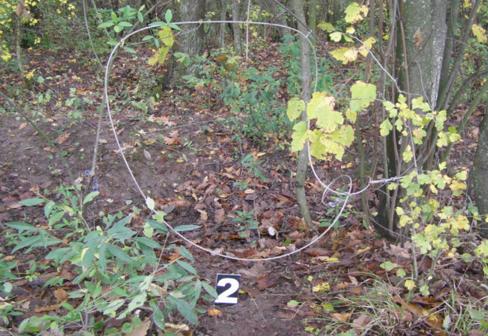 Braconieri, prinși când își verificau capcanele