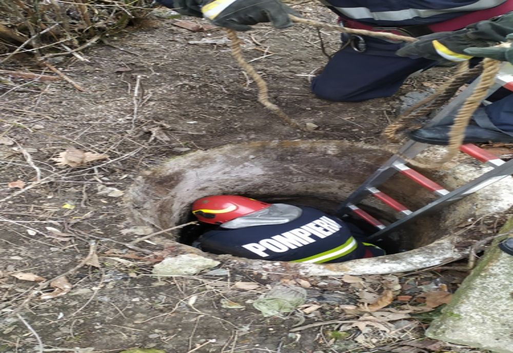 Câine salvat de pompieri dintr-un canal