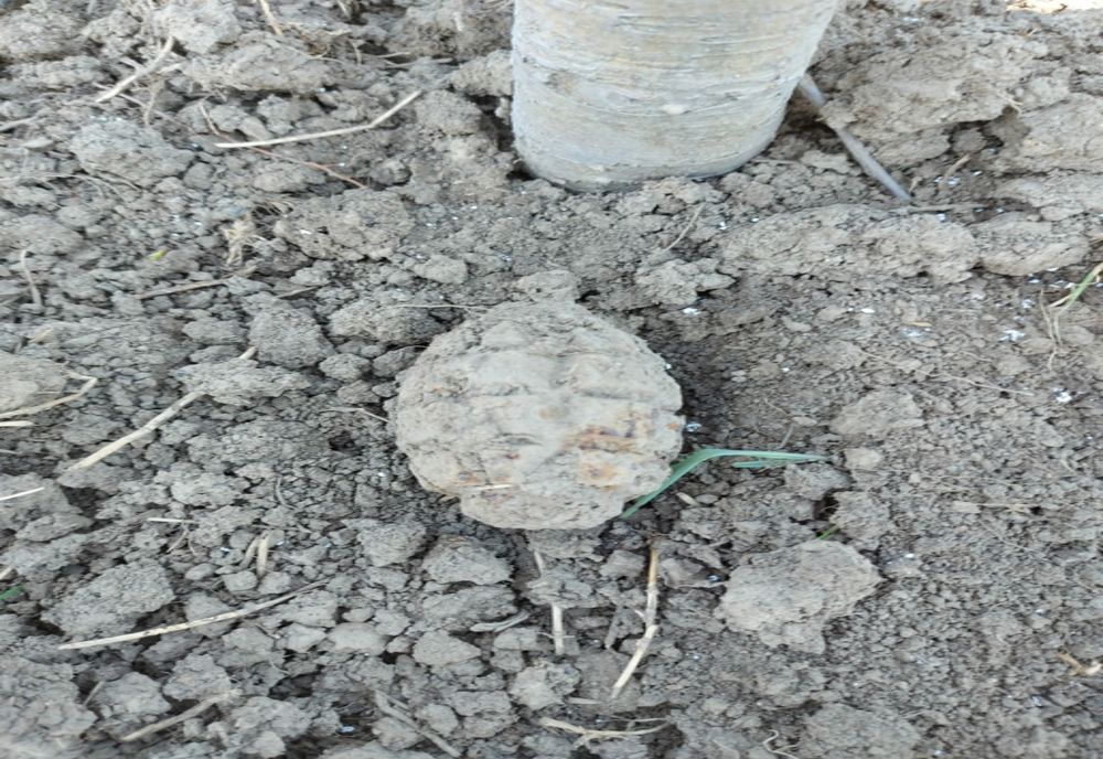  Grenadă descoperită în grădina unui localnic din Guranda