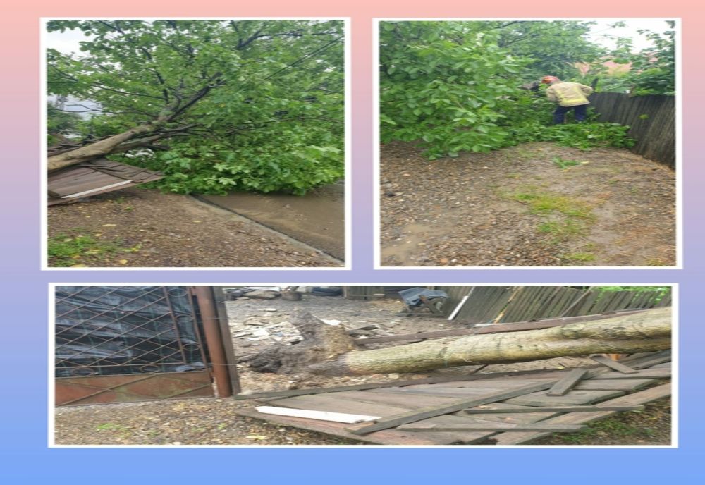 Gard distrus și stradă blocată din cauza unui copac căzut 