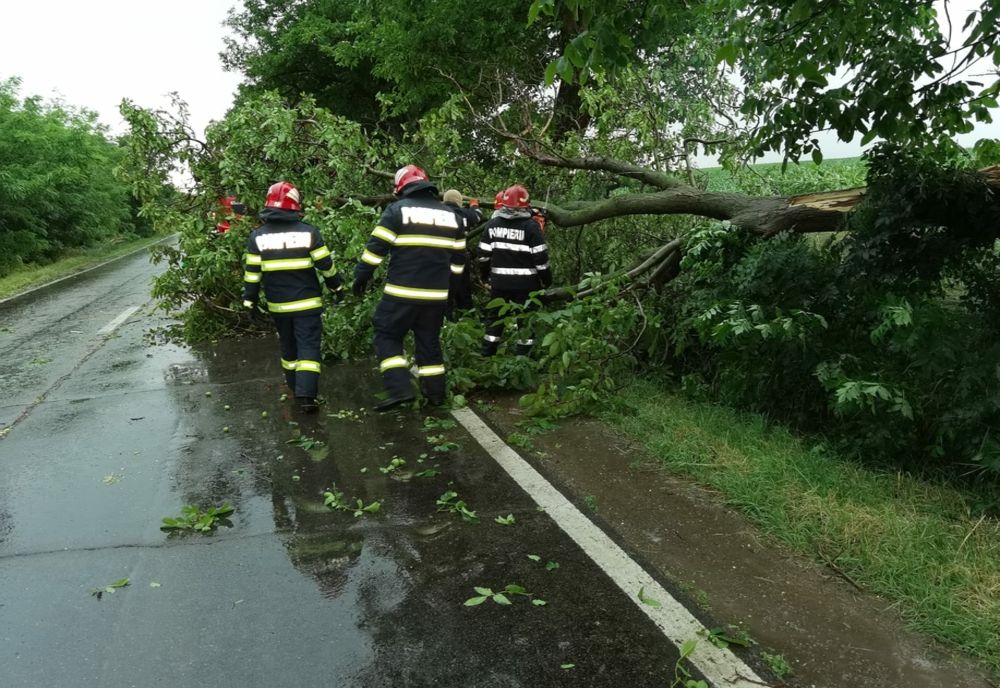 Vântul puternic a solicitat pompierii să intervină șase situații de urgență