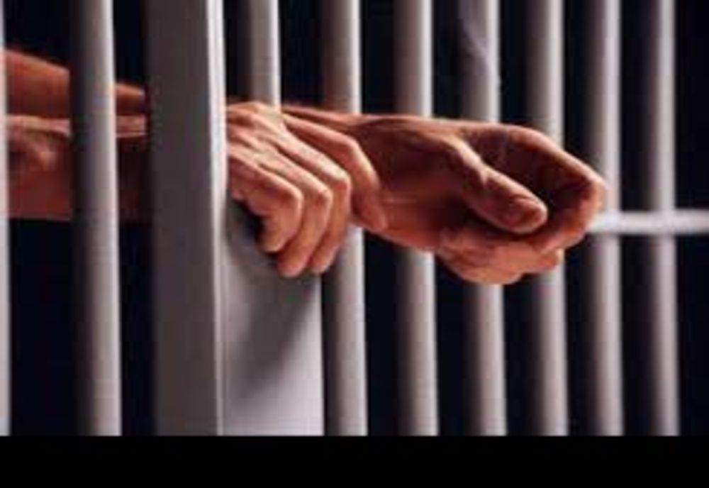 Doi tineri din județul Botoșani au fost reținuți pentru furt! Cum operau hoții