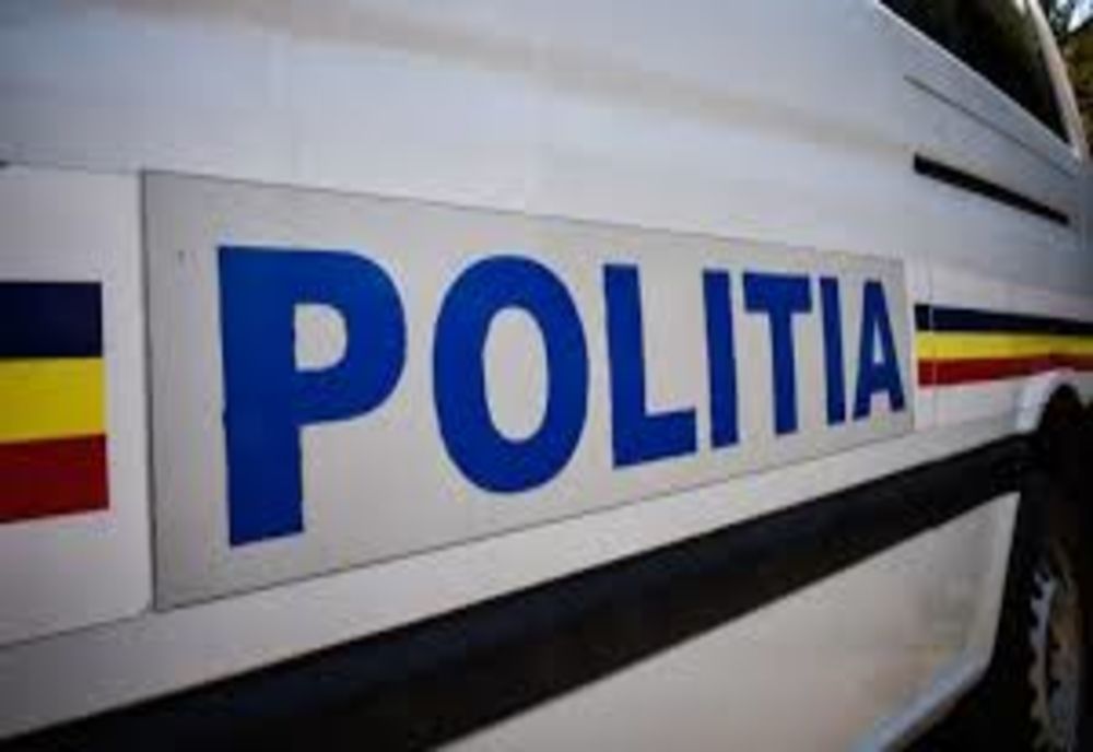 Doi tineri au furat un stâlp de susținere de la rețeaua electrică