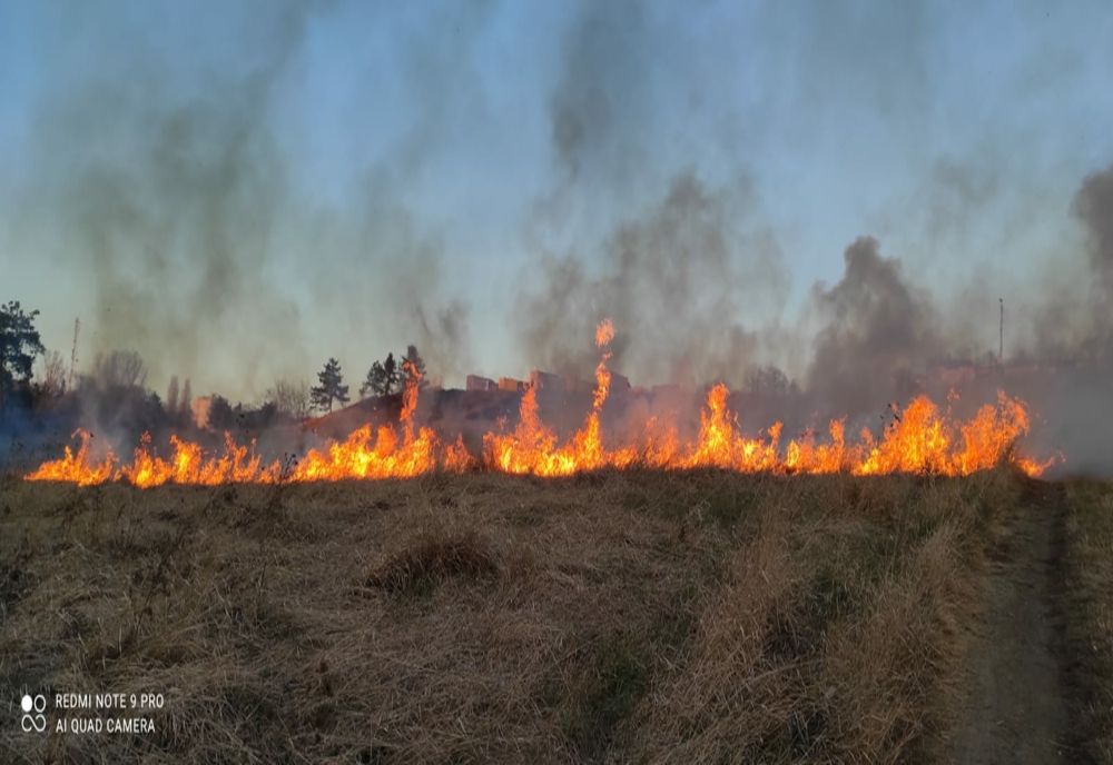 Zi de foc pentru pompierii botoșăneni