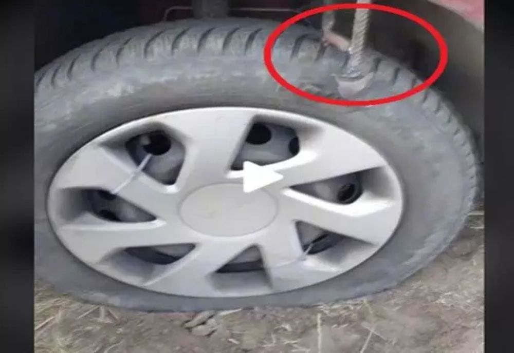 VIDEO – Ce pun braconierii din Botoșani pe drum ca să îi încetinească pe jandarmii care îi urmăresc – Imagini revoltătoare