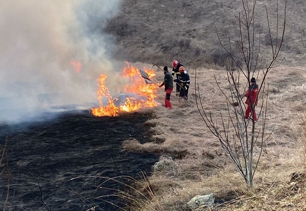 Mai multe case în pericol să ia foc din cauza unui incendiu de vegetație - VIDEO