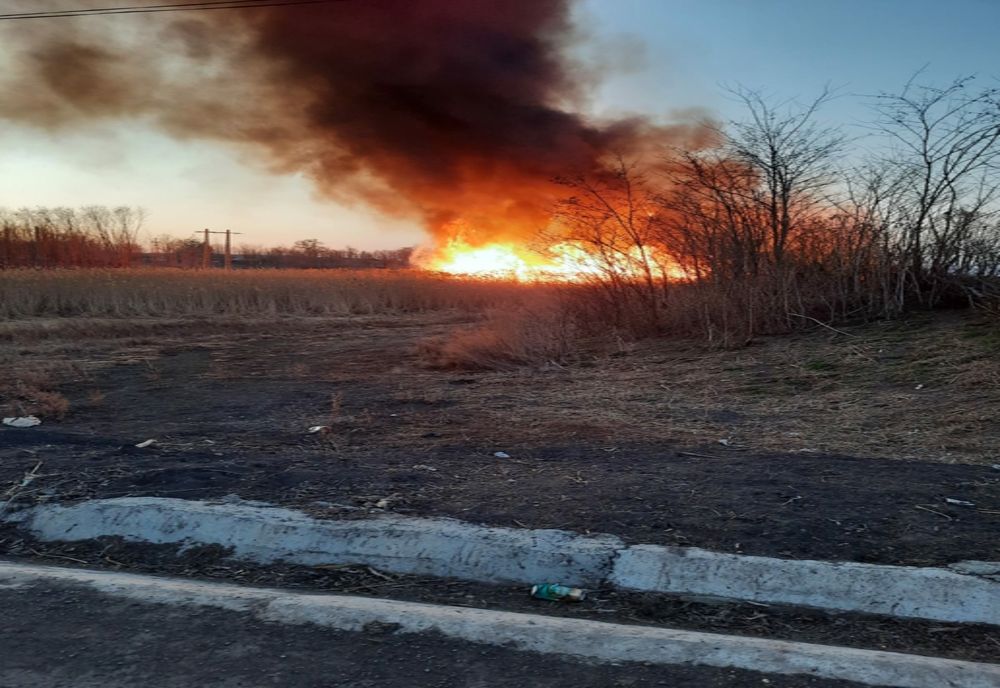 Peste 100 de hectare făcute scrum în ultimele 24 de ore