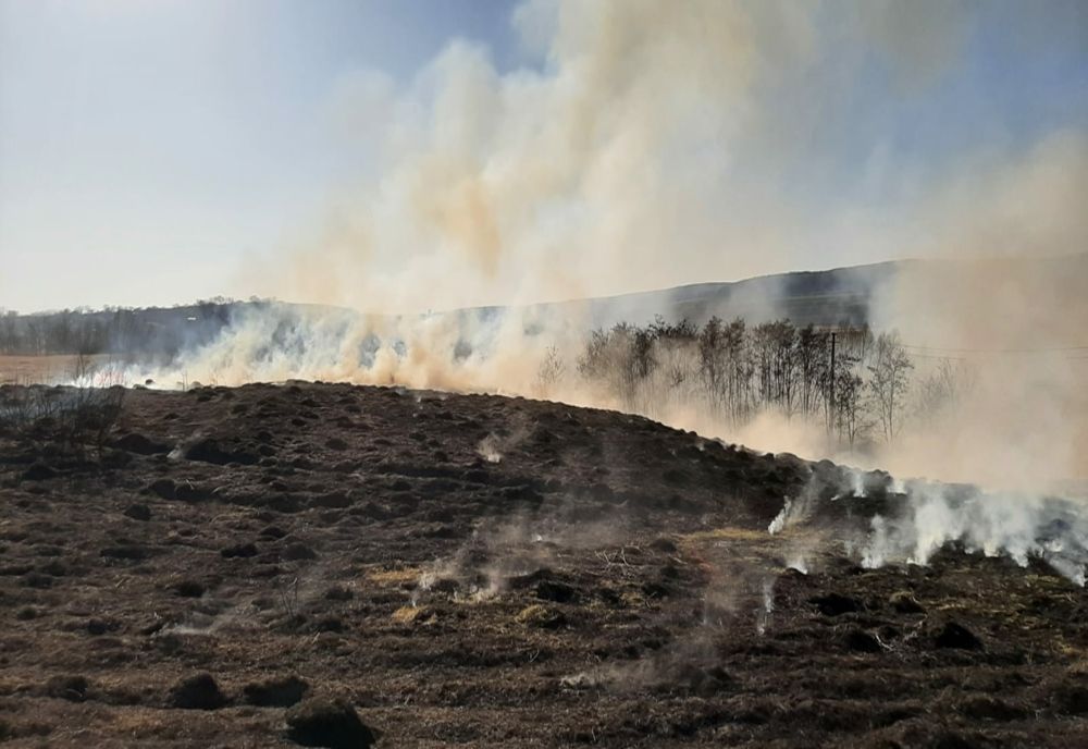 45 de hectare de vegetație, distruse de foc