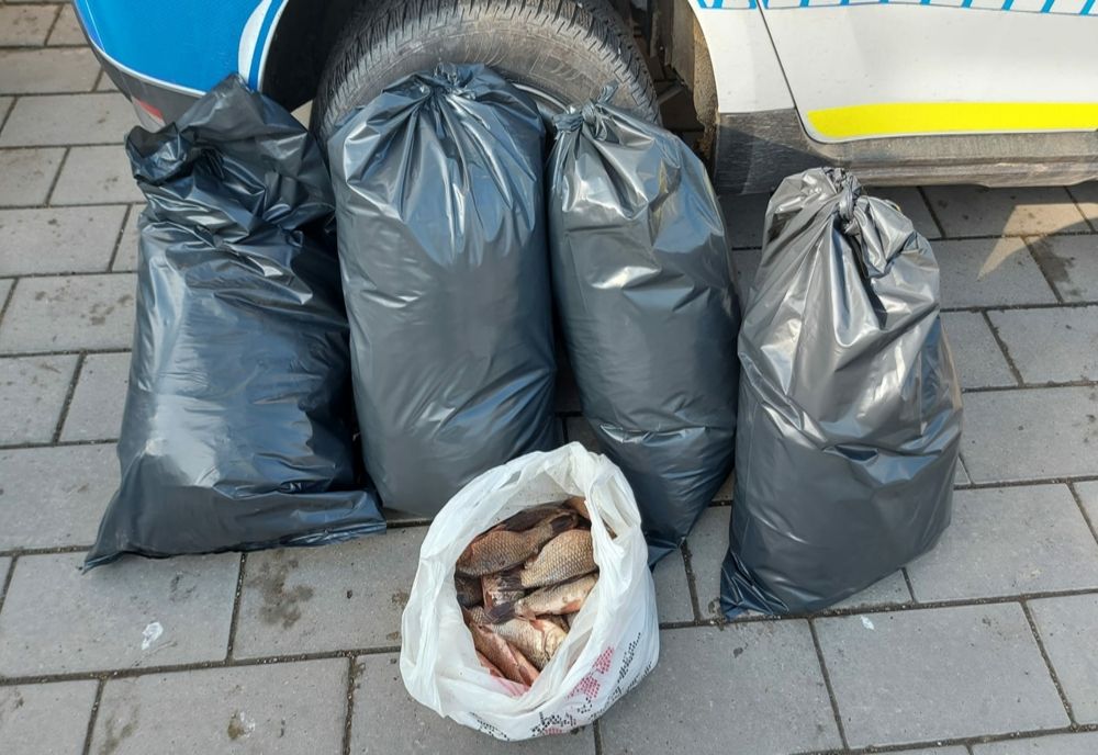 Percheziții într-o comună din Botoșani! Ce au găsit polițiștii