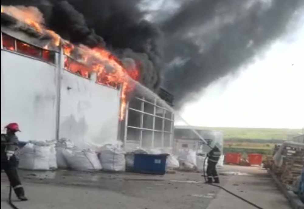 O fermă din Frumușica a fost incendiată! Pagube uriașe